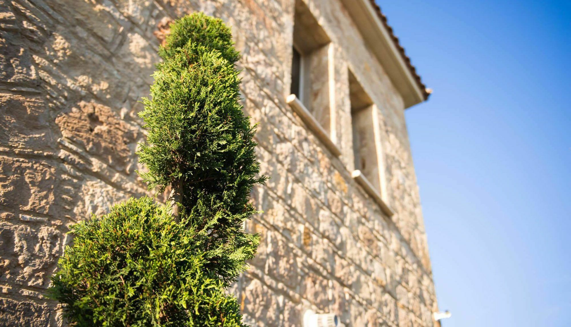 Villa Jaimi Пейя Экстерьер фото
